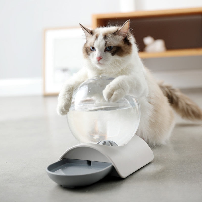 2.8L Bubble Cat Water Fountain