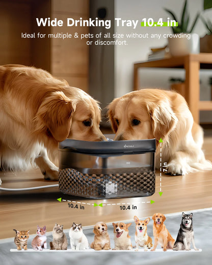 9L Large Dog Water Fountain