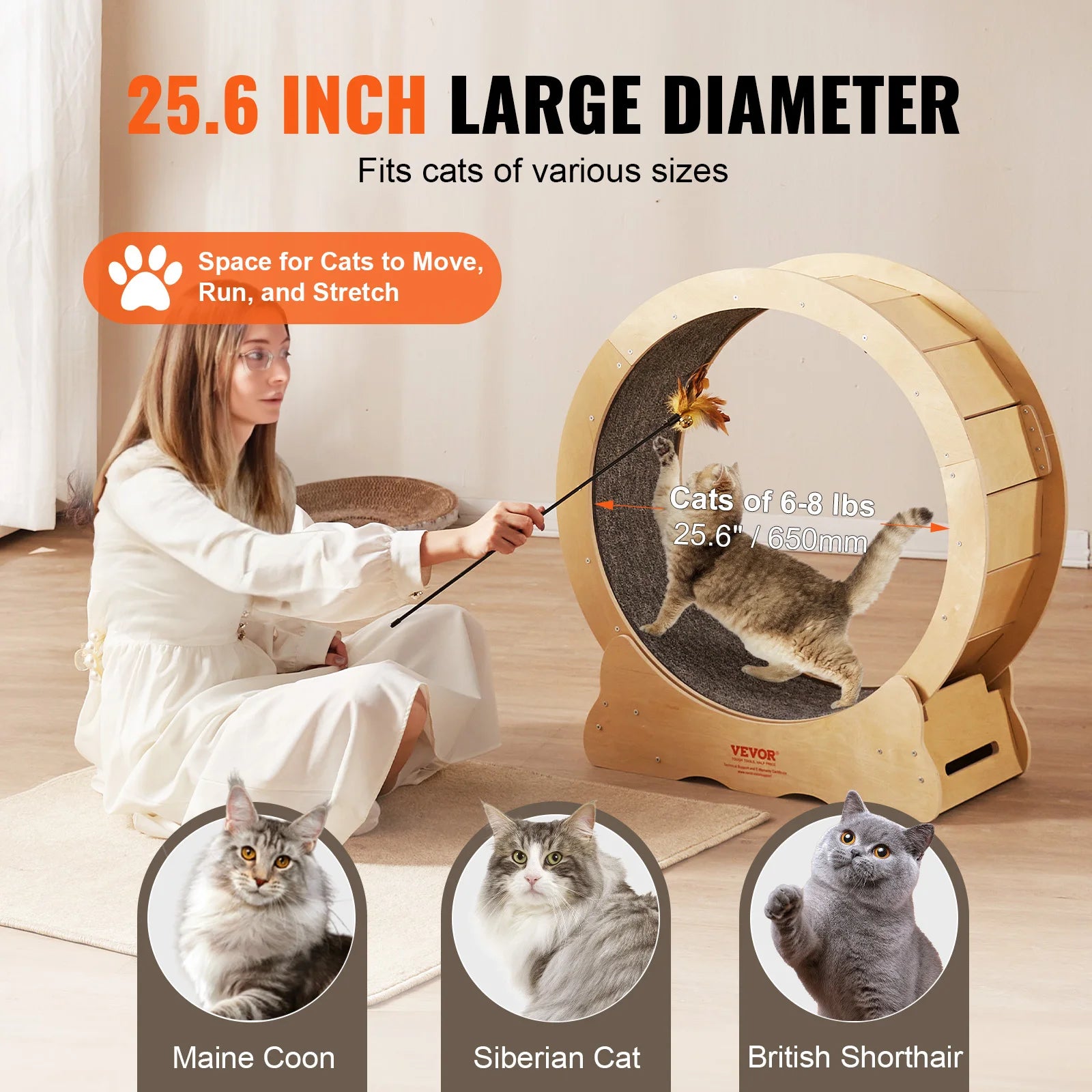 Cat Running Exercise Wheel